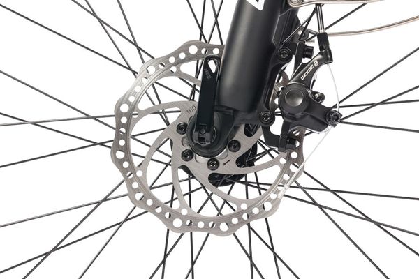Cykel skivbroms