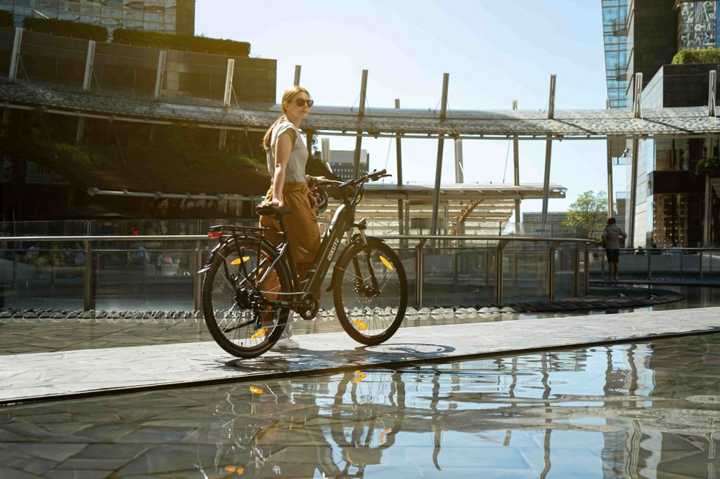 Hinterradnabenmotor Hollandrad E-Bike
