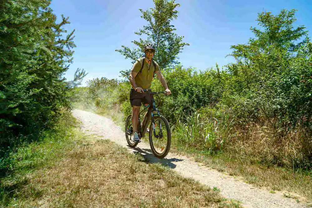 Elcykel med hardtail
