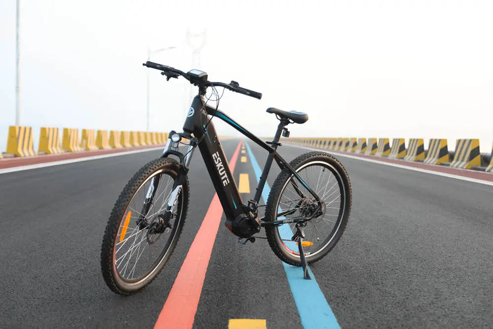 Netuno Pro el-mountainbike