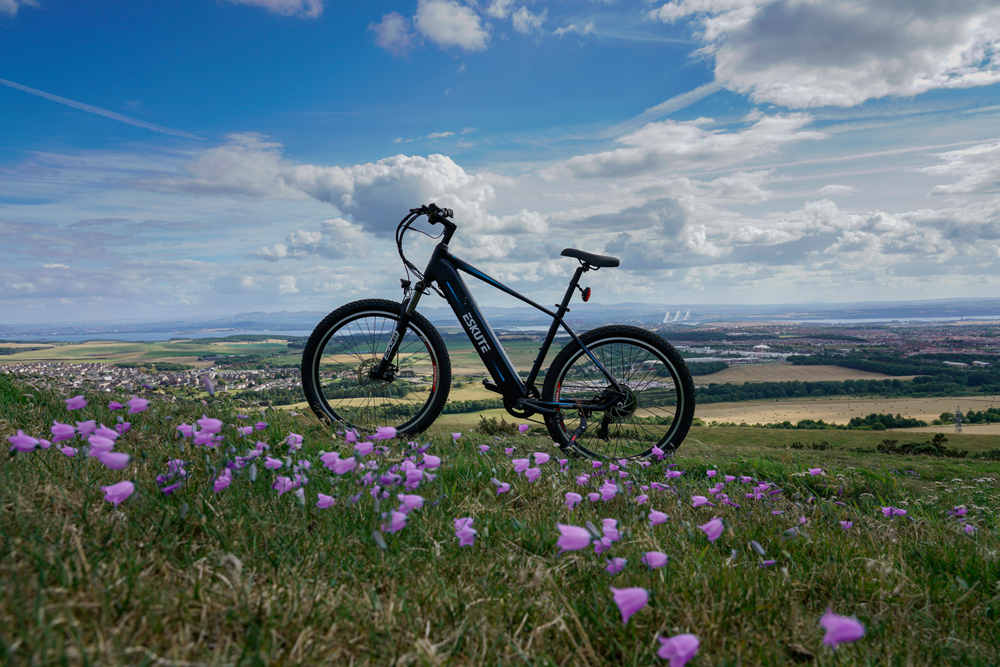 en cykel parkerad bland blommor