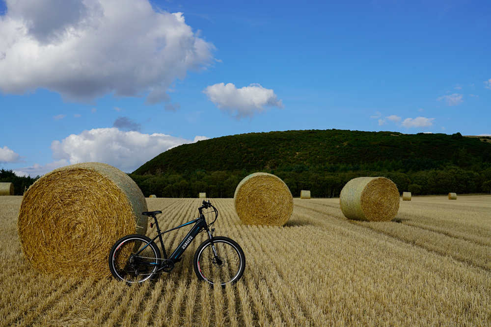 en cykel parkerad i gräset