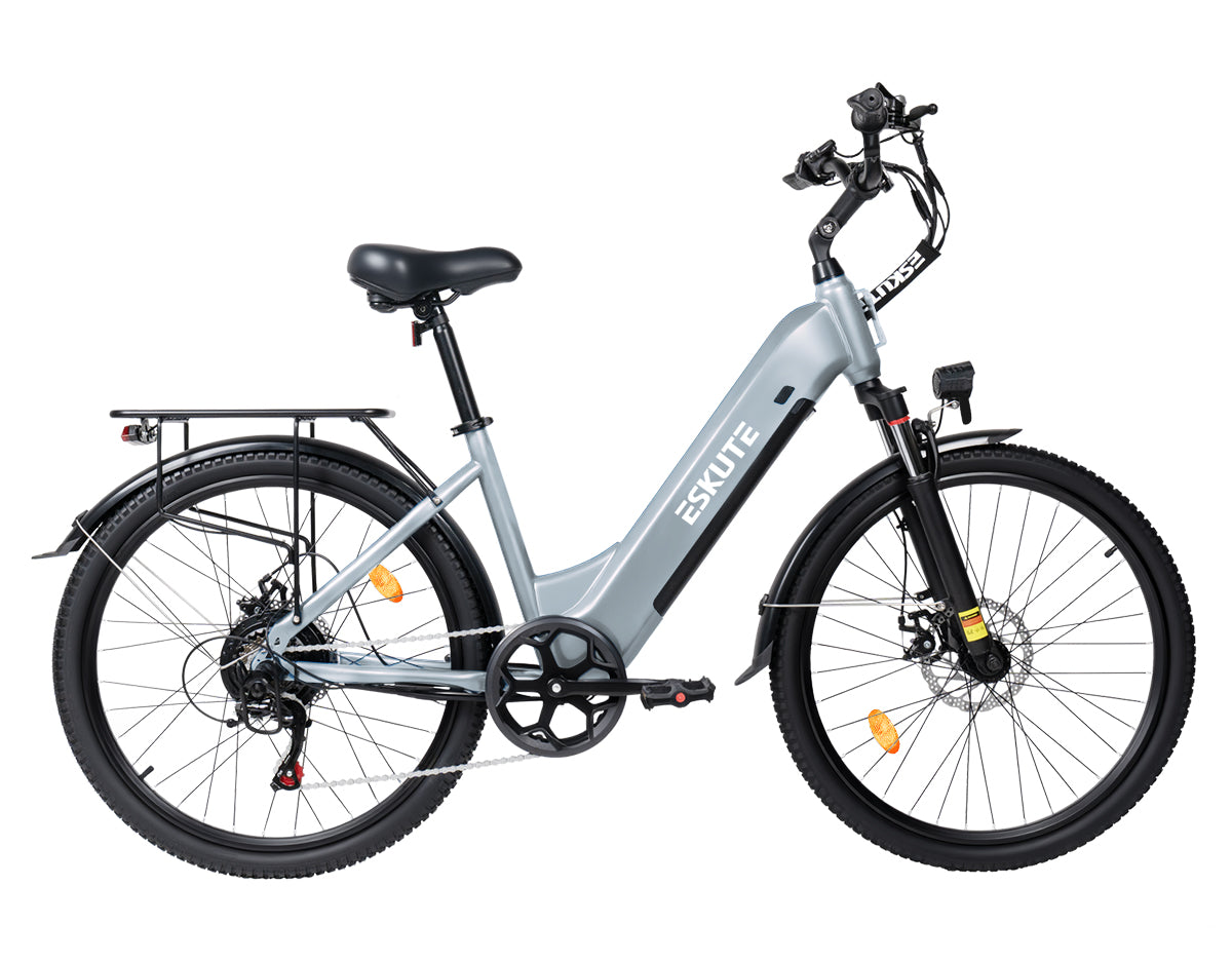 Eskute C202 Grau City-E-Bike, Frontansicht ideal für den täglichen Pendelverkehr.