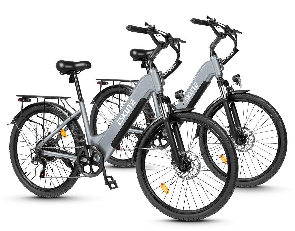 Eskute C202 stadselcykel*2