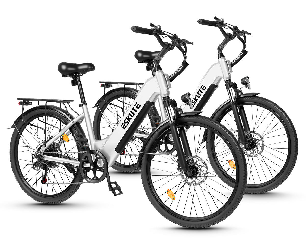 Eskute C202 stadselcykel*2