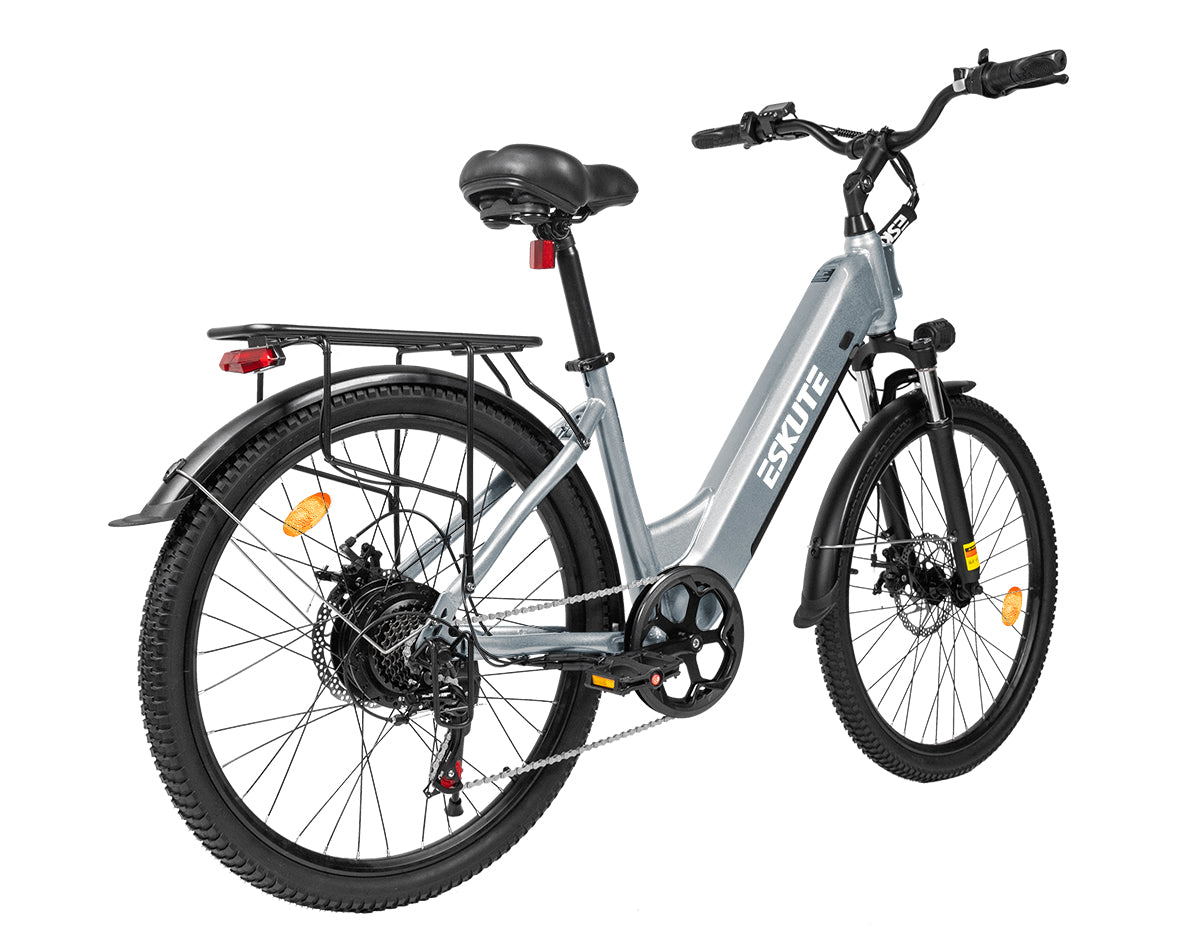 Eskute C202 Grau E-Bike, Rückansicht mit praktischem Gepäckträger für Stadtfahrten.