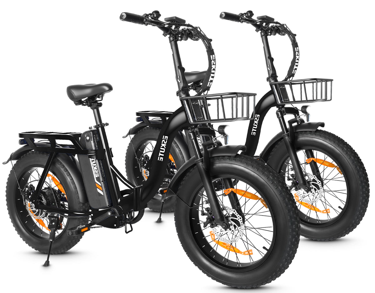Eskute D202 Klapp-E-Bike in Schwarz und Schwarz