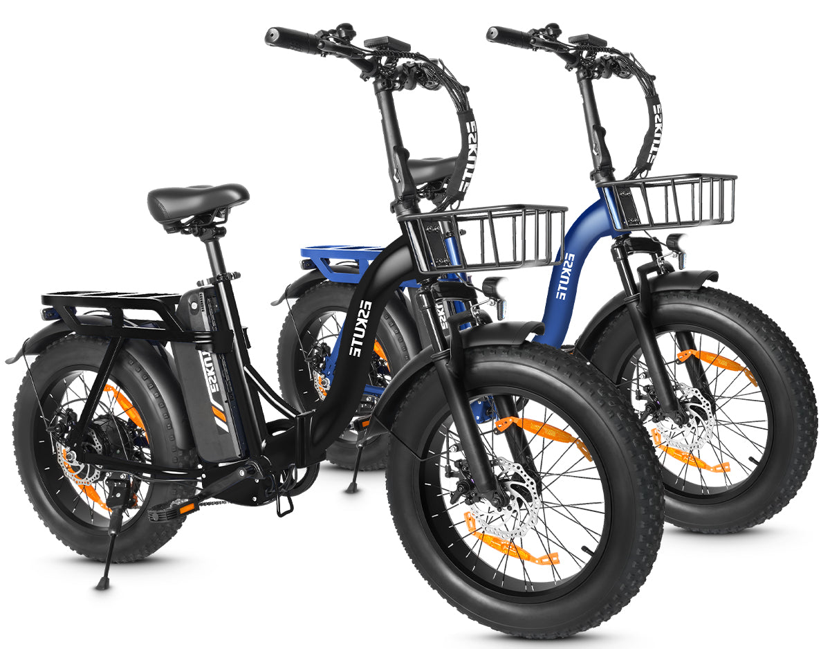 Eskute D202 Klapp-E-Bike in Schwarz und Blau