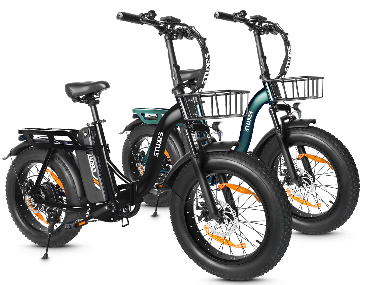 Eskute D202 Klapp-E-Bike in Schwarz und Grün