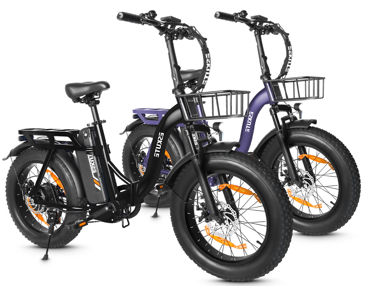 Eskute D202 Klapp-E-Bike in Schwarz und Lila