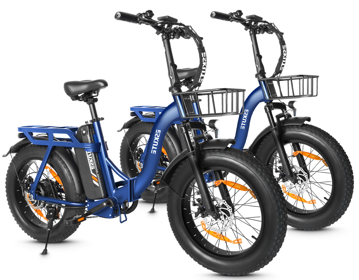 Eskute D202 Klapp-E-Bike in Blau und Blau