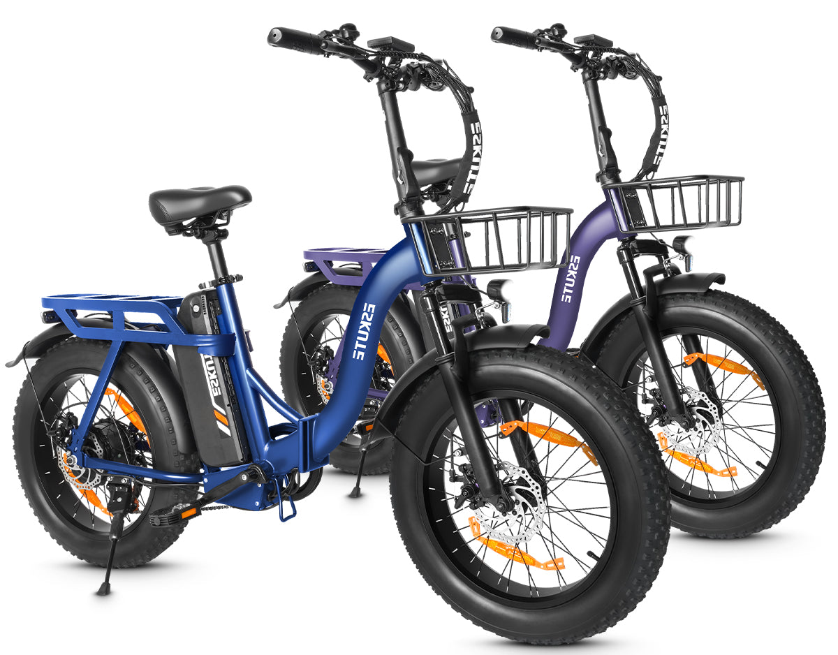 Eskute D202 Klapp-E-Bike in Blau und Lila