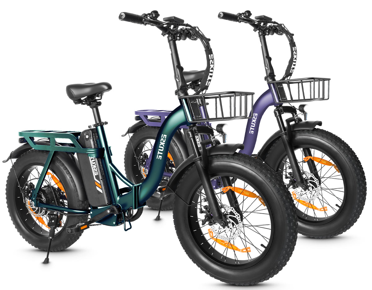 Eskute D202 Klapp-E-Bike in Grün und Lila