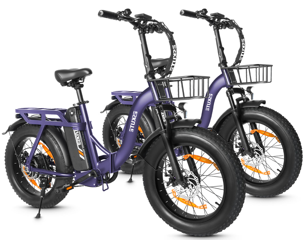 Eskute D202 Klapp-E-Bike in Lila und Lila