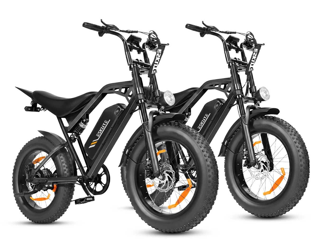 Eskute C202 stadselcykel