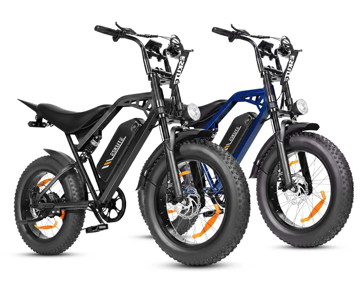 Eskute C202 stadselcykel