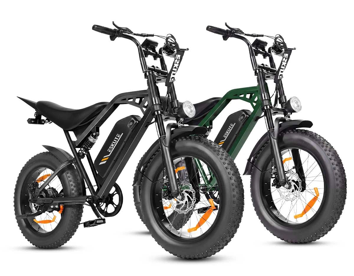 Eskute C202 stadselcykel