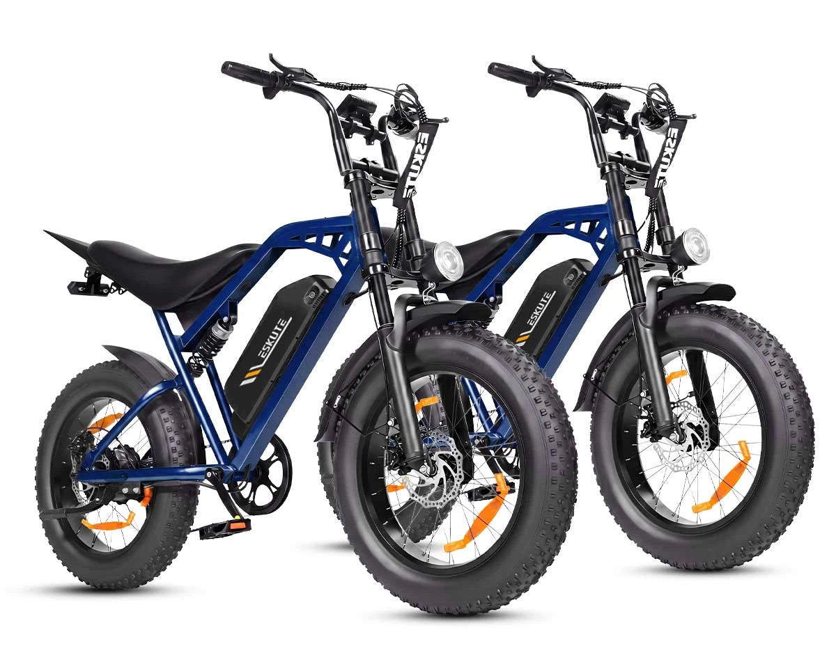 Eskute C202 stadselcykel