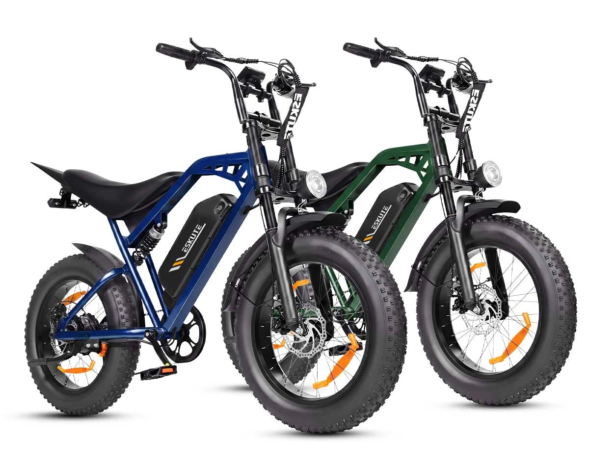 Eskute C202 stadselcykel