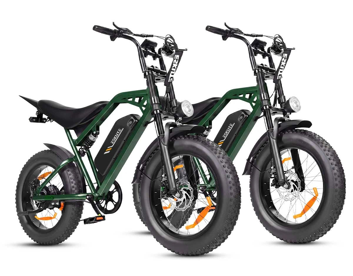 Eskute C202 stadselcykel