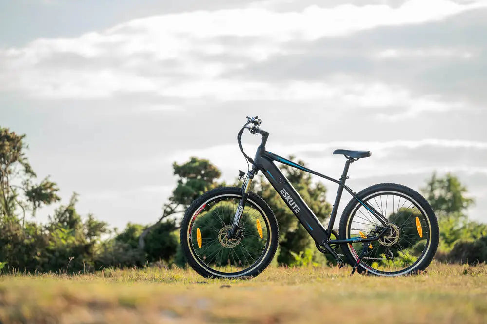 netuno e-cykel med bakhjulsdrift