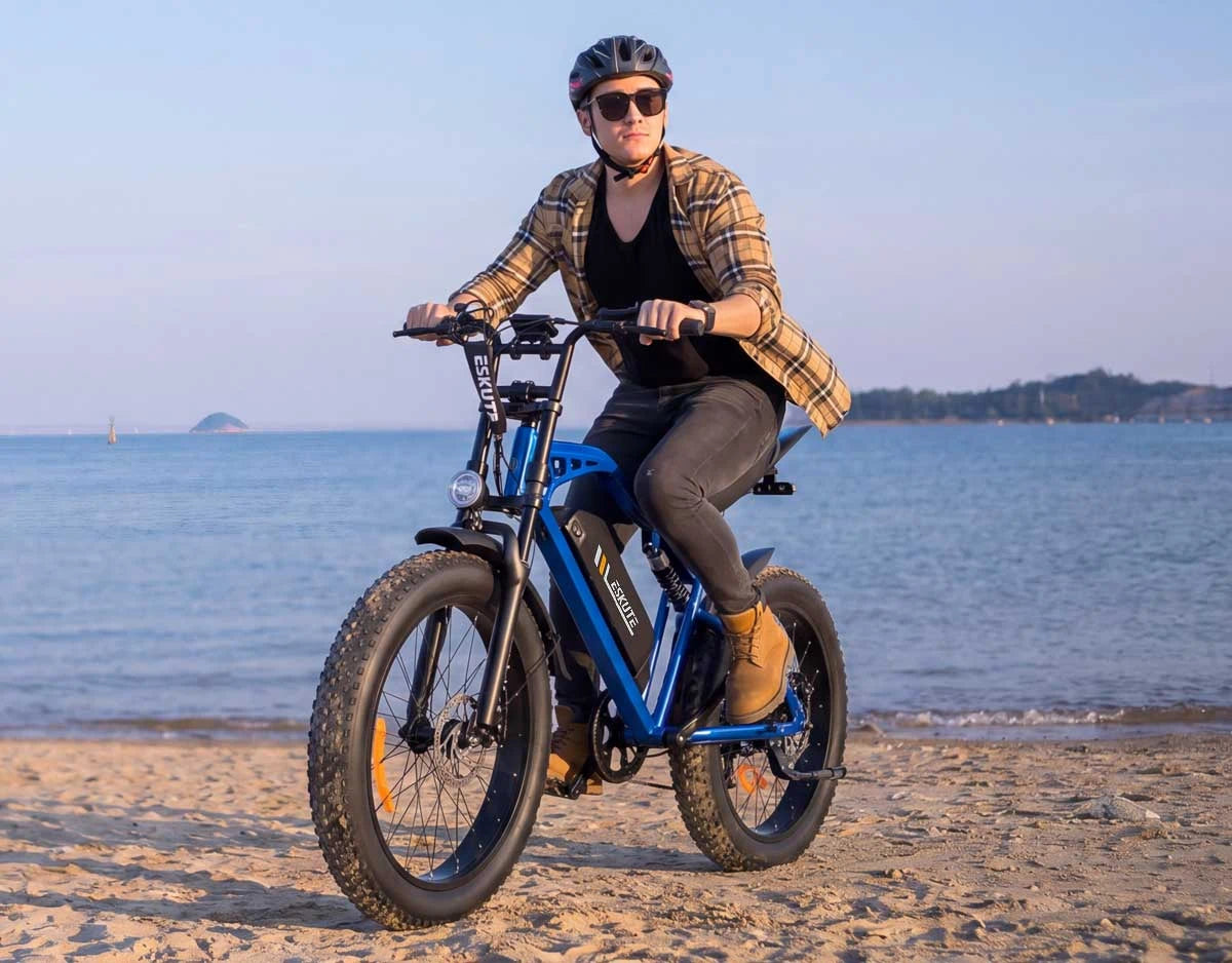 Eskute C202 stadselcykel
