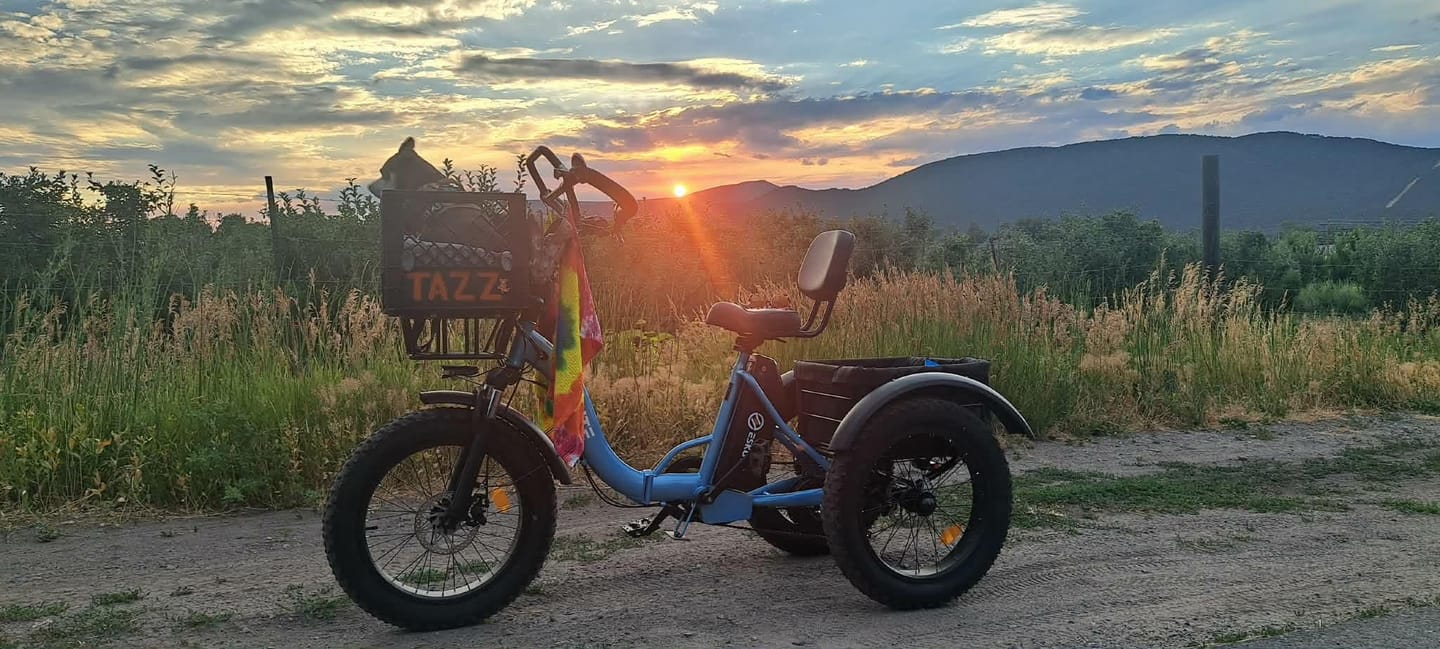 Customer photo review of Eskute T302 Pro Cargo E-Bike