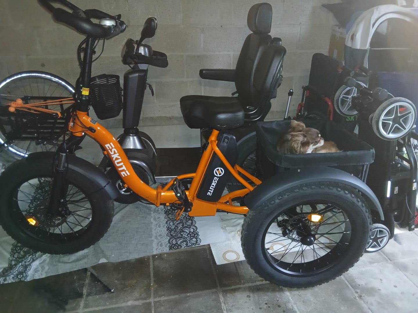 Customer photo review of Eskute T302 Pro Cargo E-Bike