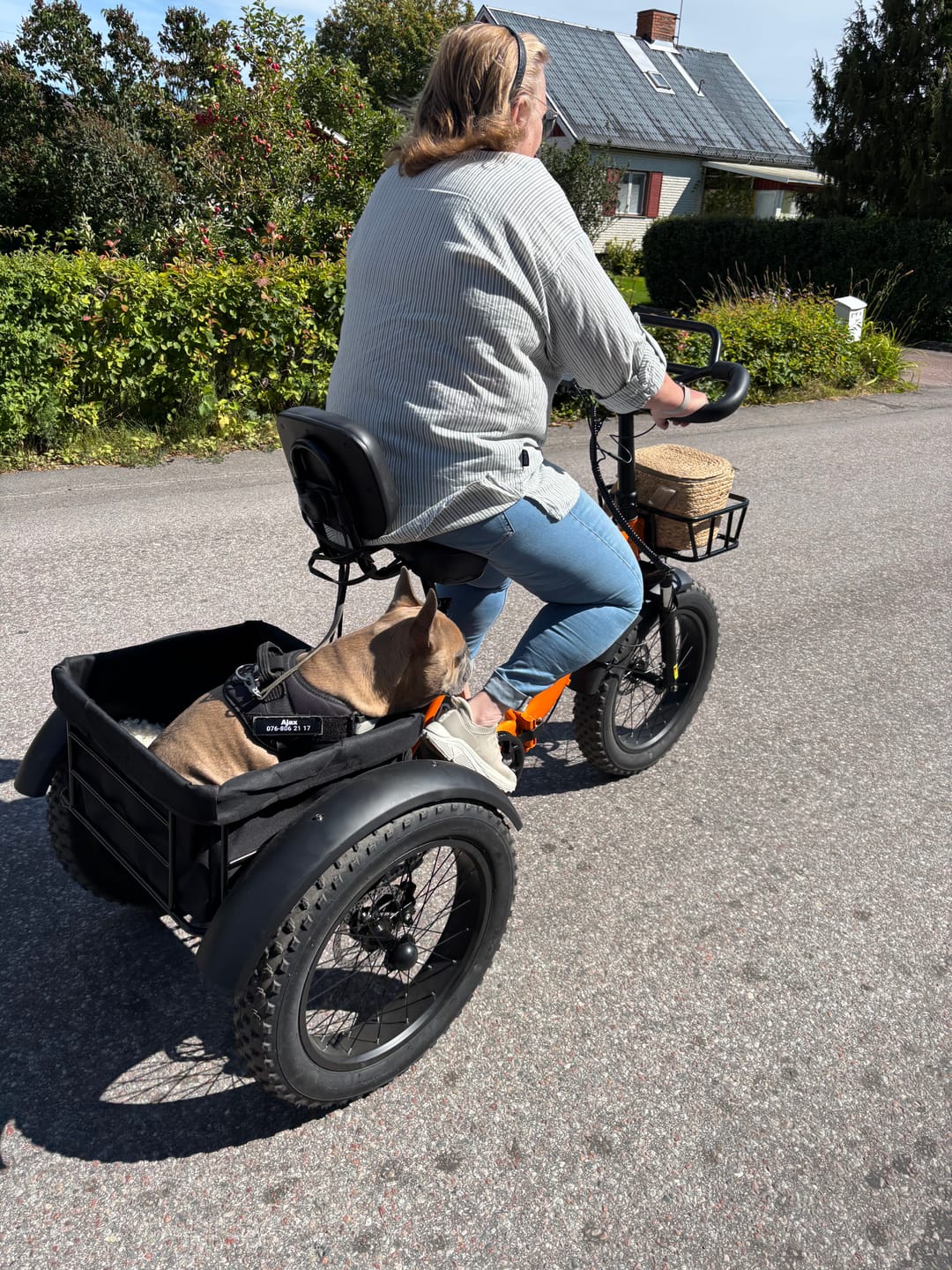 Customer photo review of Eskute T302 Pro Cargo E-Bike